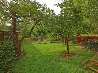 Garten mit Liegewiese