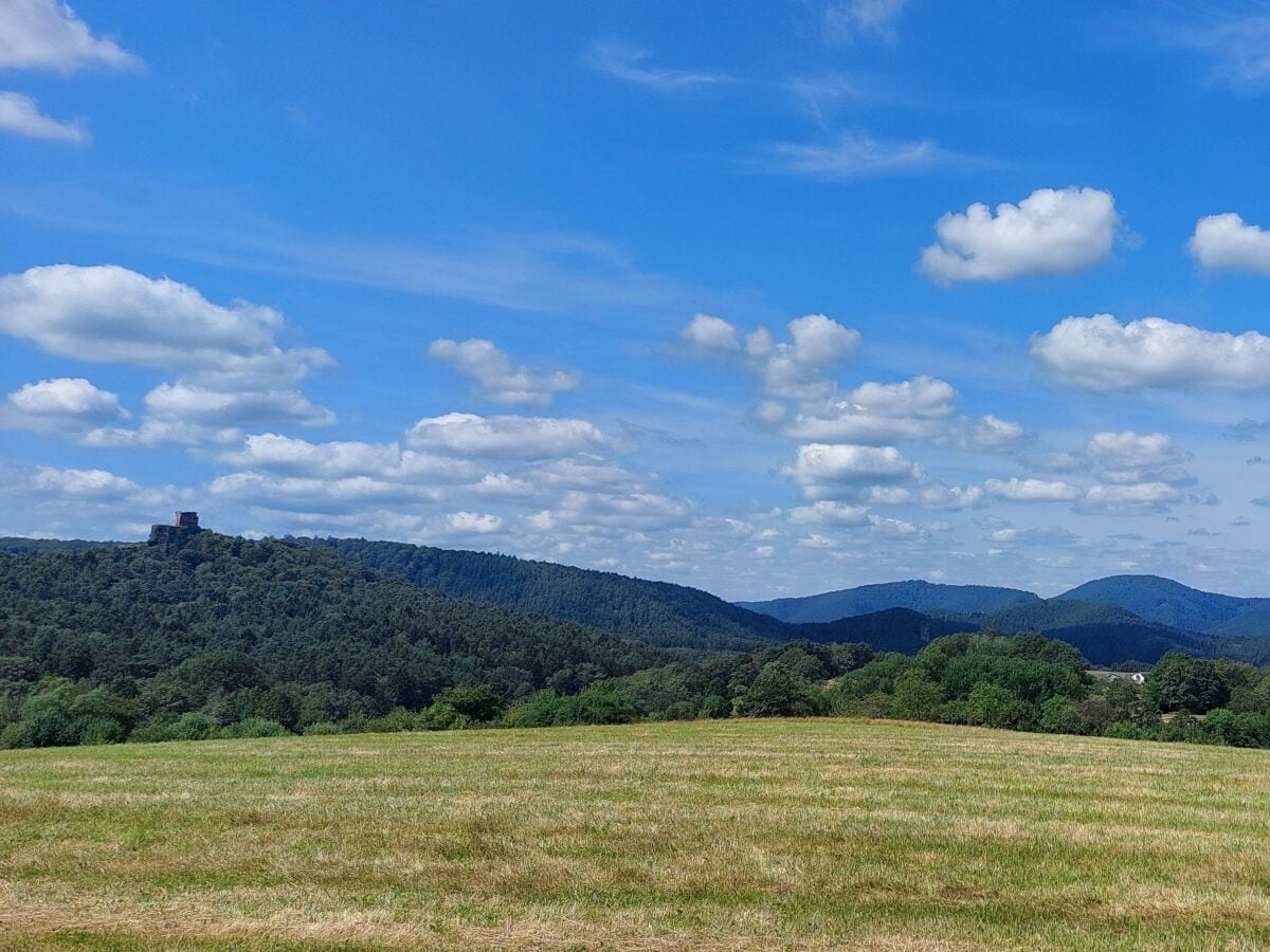 Aussichtspunkt um Busenberg