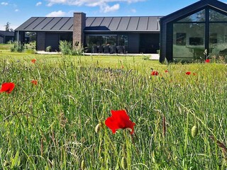 Ferienhaus Lønstrup Außenaufnahme 5