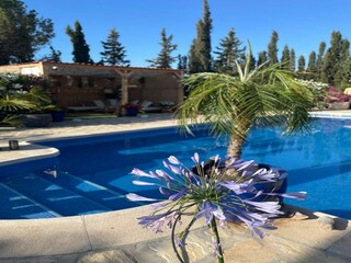 Casa per le vacanze Welt Registrazione all'aperto 20