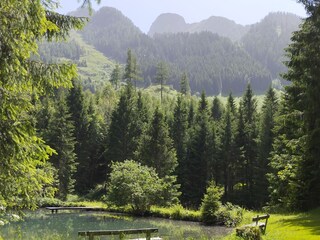 Casa per le vacanze Fusch Ambiente 22