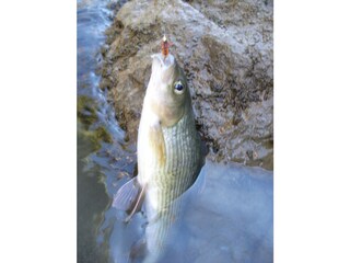 Casa per le vacanze Fusch Ambiente 26