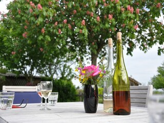 Vakantiepark Monthou-sur-Cher  40