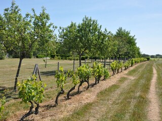 Parc de vacances Monthou-sur-Cher Environnement 31