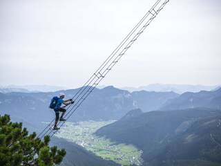 Appartamento per vacanze Bad Goisern Ambiente 24