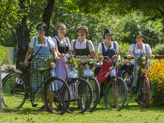 Appartamento per vacanze Bad Goisern Ambiente 29