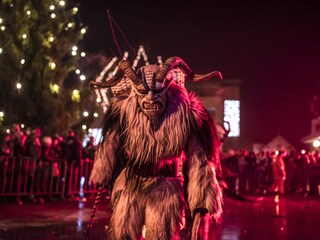 Appartamento per vacanze Bad Goisern Ambiente 33