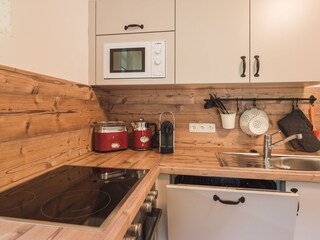 Appartamento per vacanze Bad Goisern Caratteristiche 9