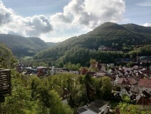 Ferienwohnung Villa Freudenberg - Bad Urach - image1