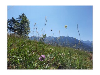 Apartamento de vacaciones Wallgau Entorno 19