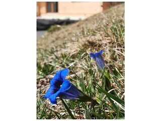 Appartamento per vacanze Wallgau Registrazione all'aperto 6