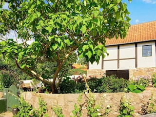 Vakantiehuis Svaneke  17