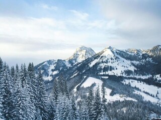 Appartement Bayrischzell Environnement 23