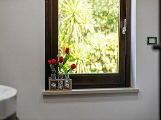 Villa Welt  36