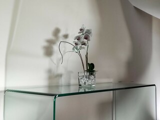 Villa Welt  39