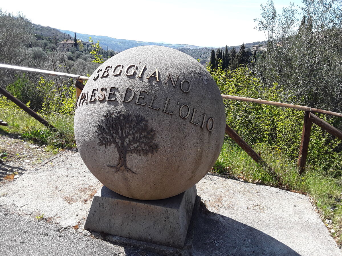 Seggiano, inmitten von Oliven- und Kastanienhainen