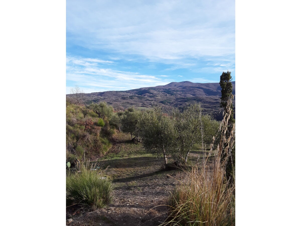 Blick auf den Monte Amiata