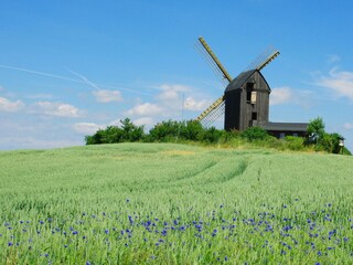 Blockwindmühle auf Usedom