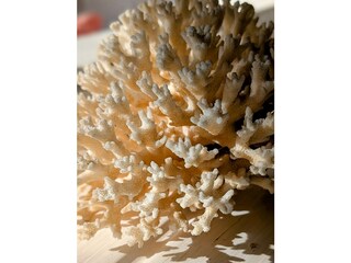 Künstlervilla "Meyer"