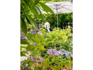 Sommerstimmung im Garten