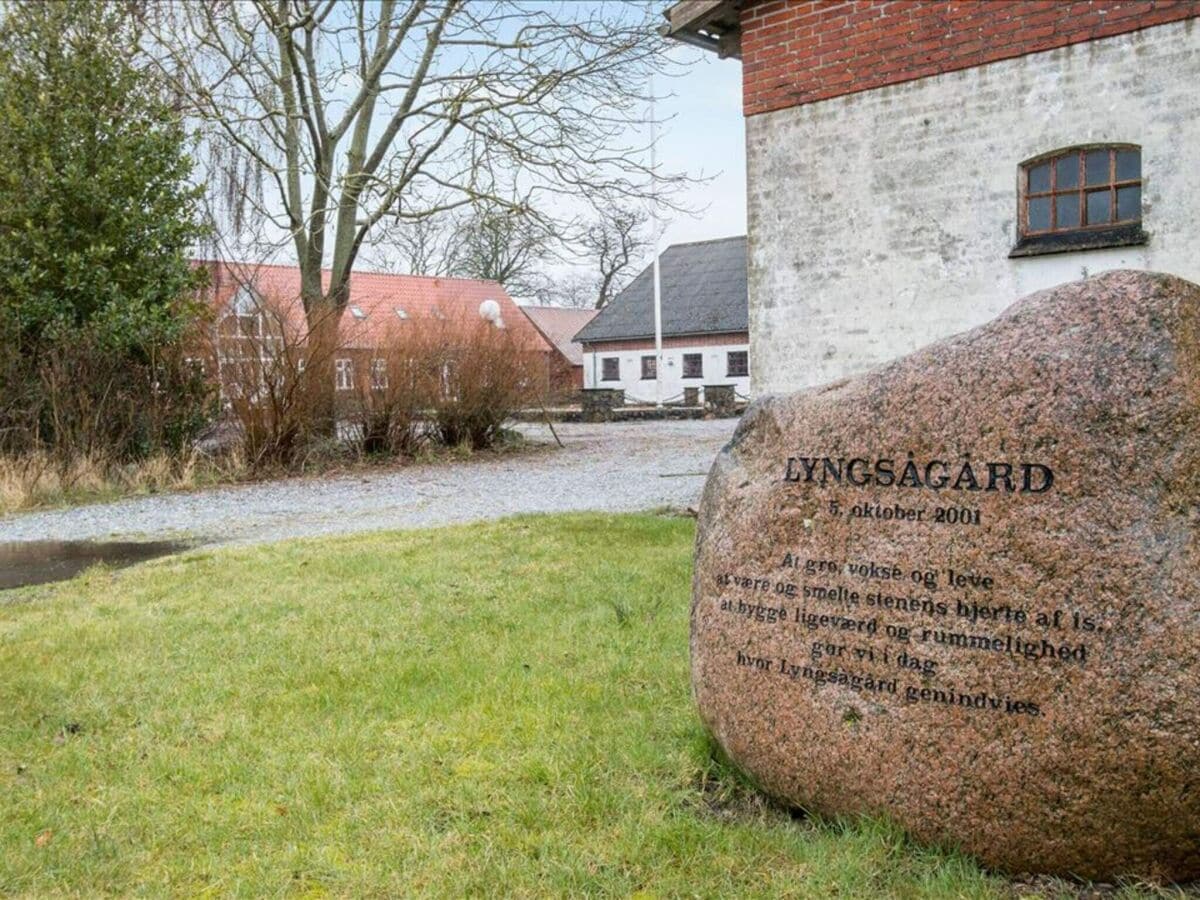 Ferienhaus Lyngså Außenaufnahme 2