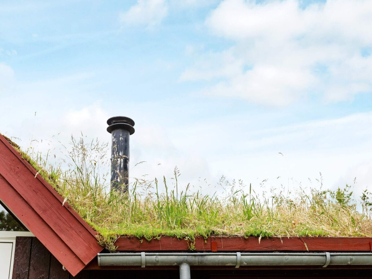 Ferienhaus Øster Grønning Außenaufnahme 10