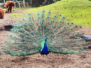 Casa per le vacanze Vig Registrazione all'aperto 3