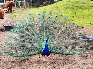 Casa per le vacanze Vig Registrazione all'aperto 6