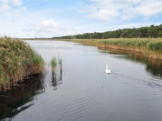 Vakantiehuis Vig  15