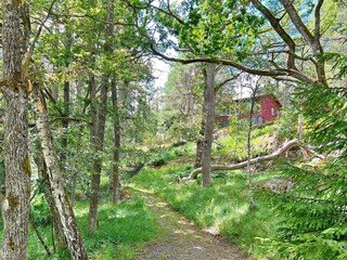 Holiday house Värmdö Outdoor Recording 8