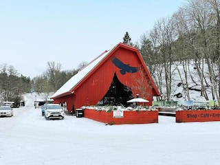 Vakantiehuis Trensum  21