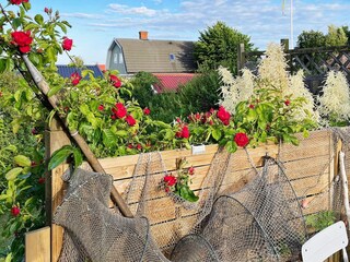Ferienhaus Hällevik Außenaufnahme 4