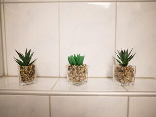 Apartamento Arnoldstein Características 10