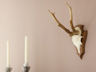 Holiday house Medebach  19