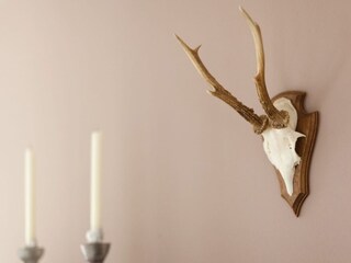 Vakantiehuis Medebach  19