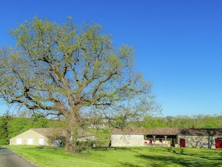 Ferienhaus Sigoulès Außenaufnahme 5