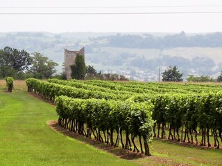 Vakantiehuis Sigoulès Omgeving 28