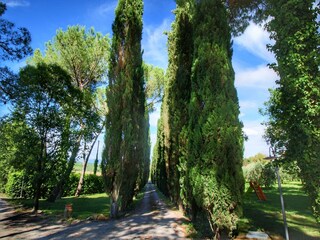 Appartamento Colle di Val d'Elsa Registrazione all'aperto 19
