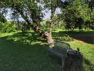 Appartement Colle di Val d'Elsa Buitenaudio-opname 11