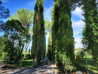 Apartment Colle di Val d'Elsa Außenaufnahme 18