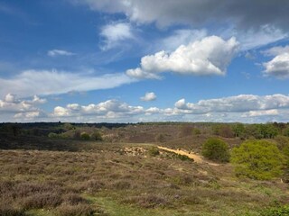 Parc de vacances Lathum Environnement 11