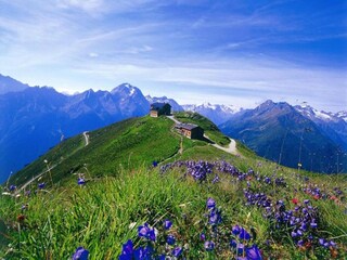 Holiday house Ramsau im Zillertal Environment 29
