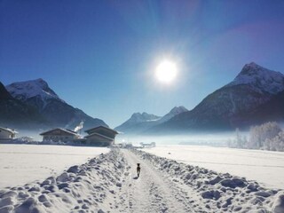 Holiday house Ramsau im Zillertal Environment 40