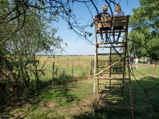 Ferienhaus Blankenberge Außenaufnahme 10