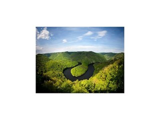 Appartement Welt Environnement 14