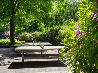 Parc de vacances Boxtel  17