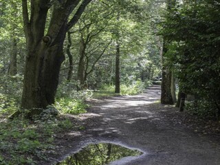 Parc de vacances Boxtel Environnement 26