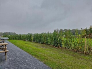 Vakantiepark Boxtel Omgeving 14