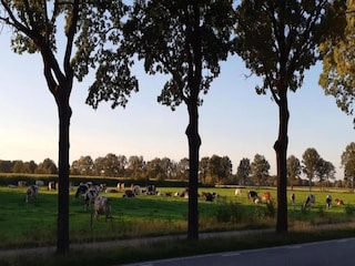 Ferienpark Boxtel Umgebung 13