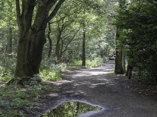 Parc de vacances Boxtel Environnement 28